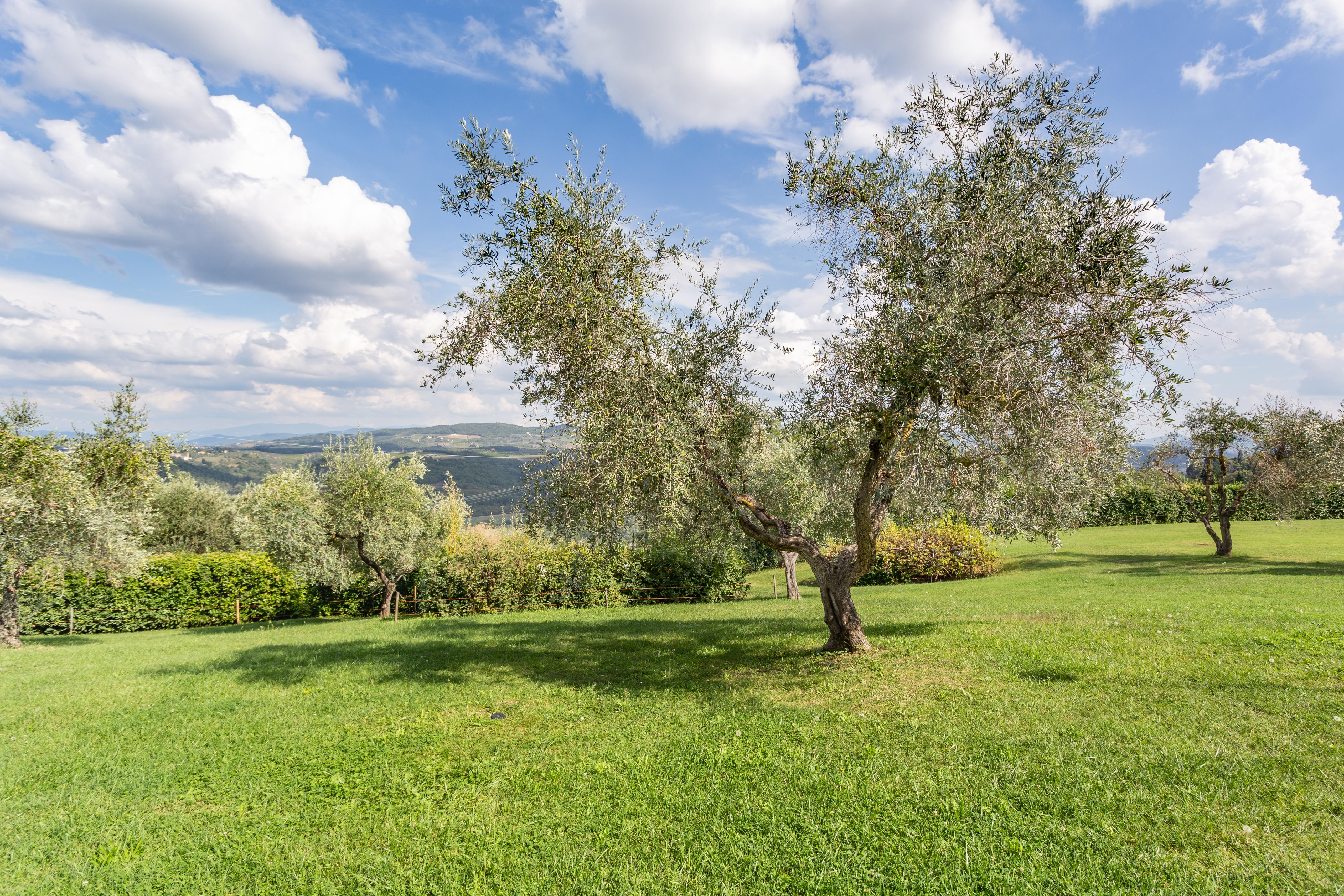 Fattoria Querceto Guest House Tavarnelle Val di Pesa Eksteriør bilde